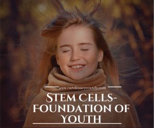 Stem Cells- Foundation of Youth