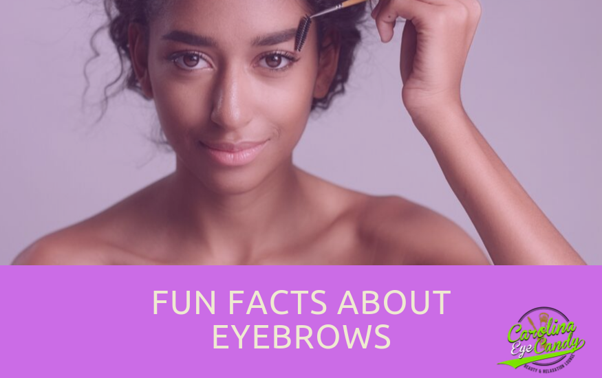 Fun Facts About Eyebrows